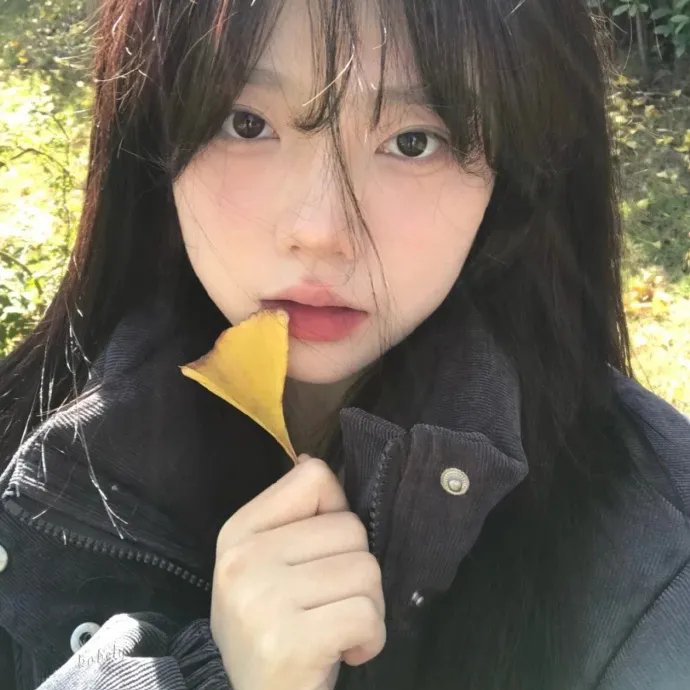 黎明的一切